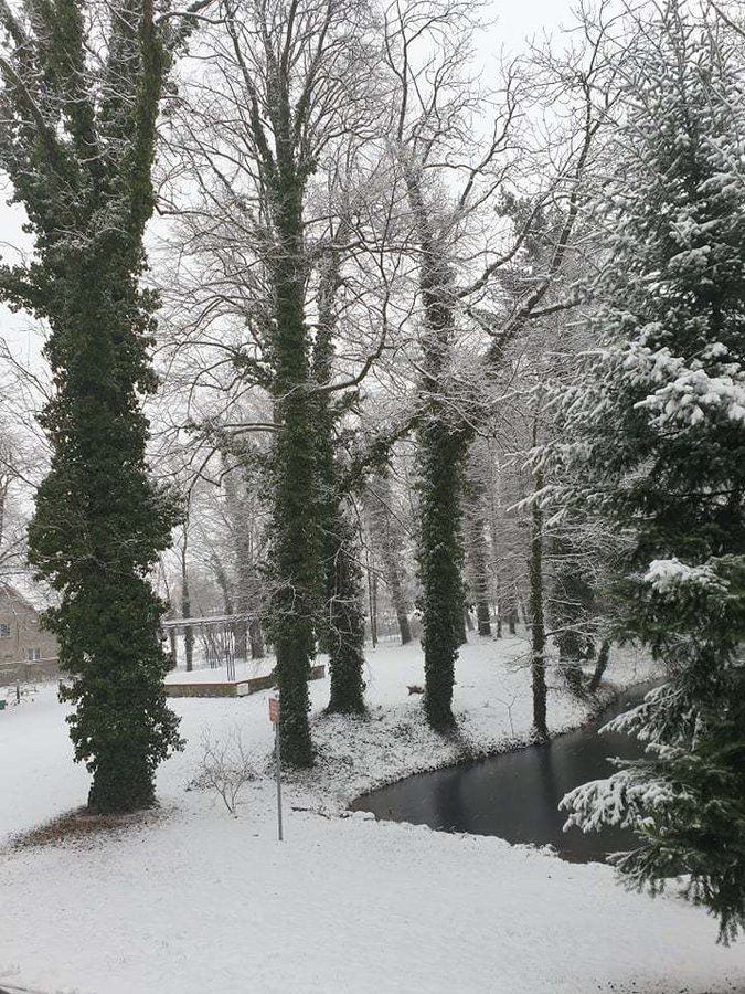 Zdjęcie przedstawiąjce park Urzędu Gminy w Wijewie