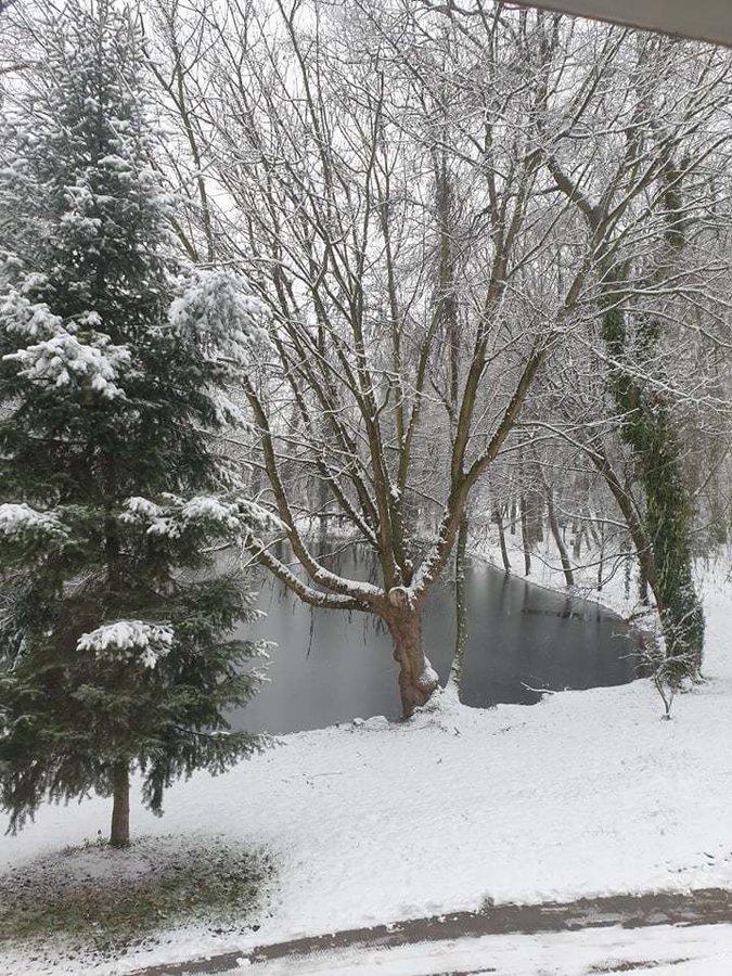 Zdjęcie przedstawiąjce park Urzędu Gminy w Wijewie