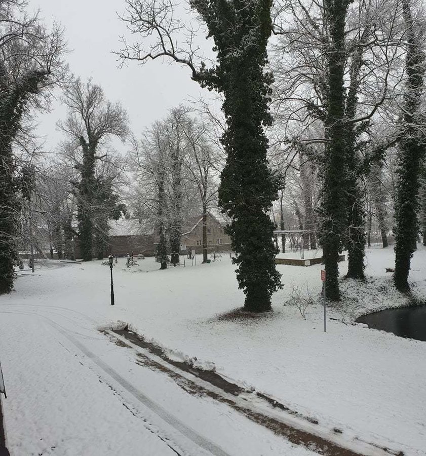 Zdjęcie przedstawiąjce park Urzędu Gminy w Wijewie