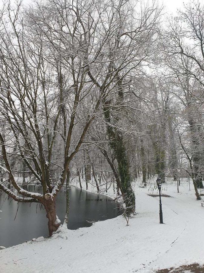 Zdjęcie przedstawiąjce park Urzędu Gminy w Wijewie