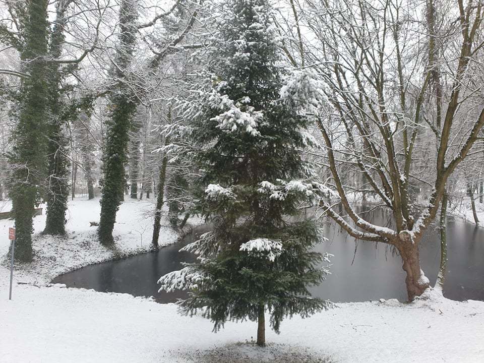 Zdjęcie przedstawiąjce park Urzędu Gminy w Wijewie