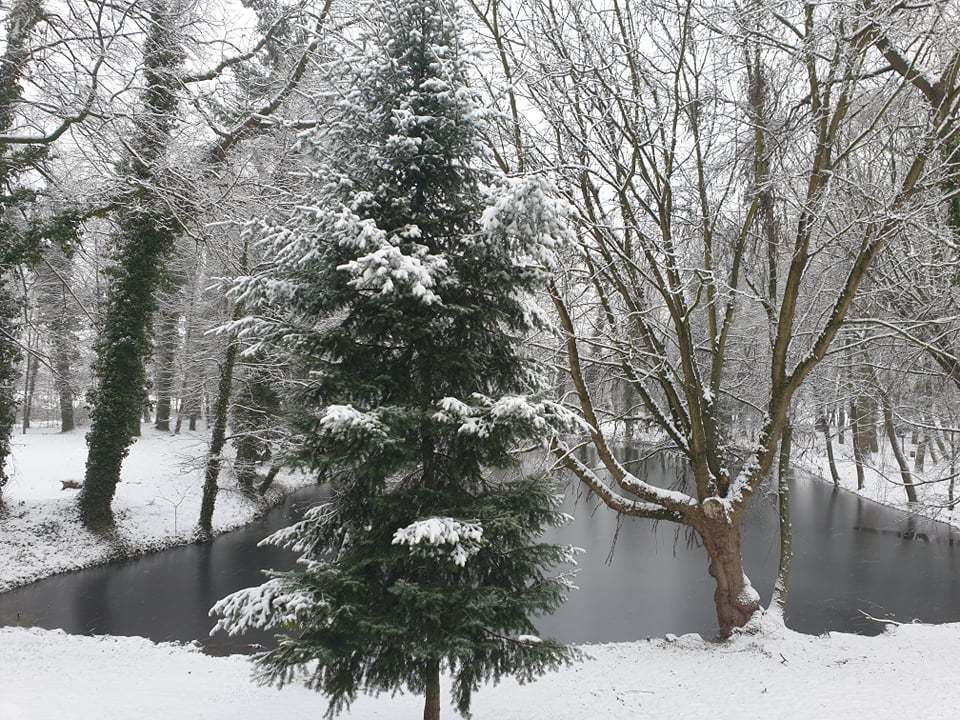 Zdjęcie przedstawiąjce park Urzędu Gminy w Wijewie