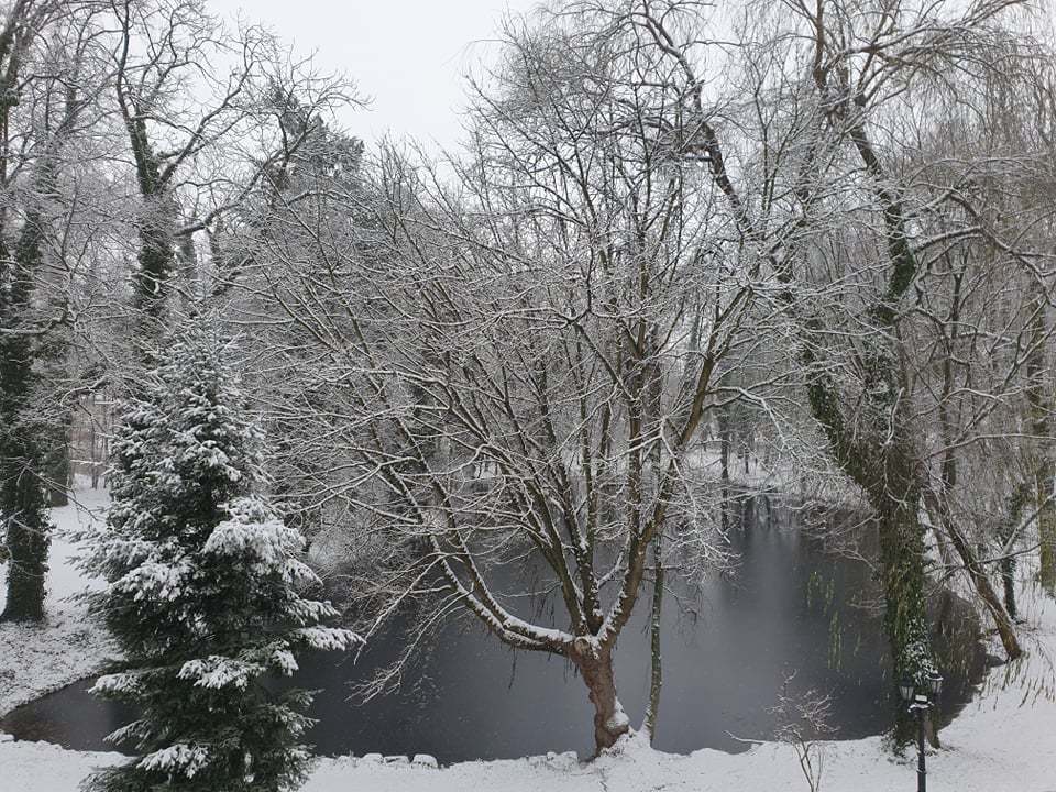 Zdjęcie przedstawiąjce park Urzędu Gminy w Wijewie