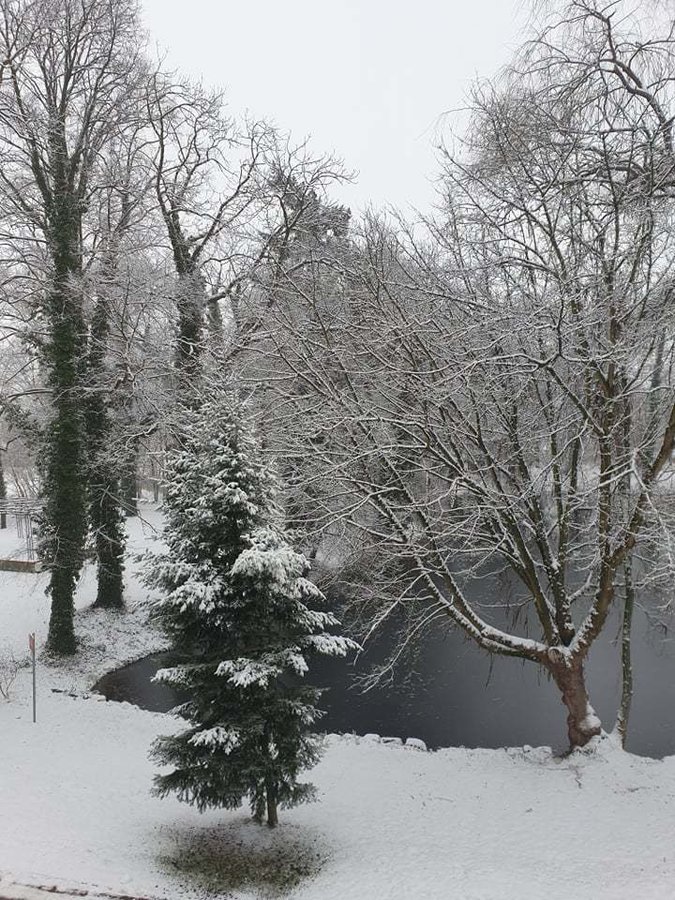 Zdjęcie przedstawiąjce park Urzędu Gminy w Wijewie