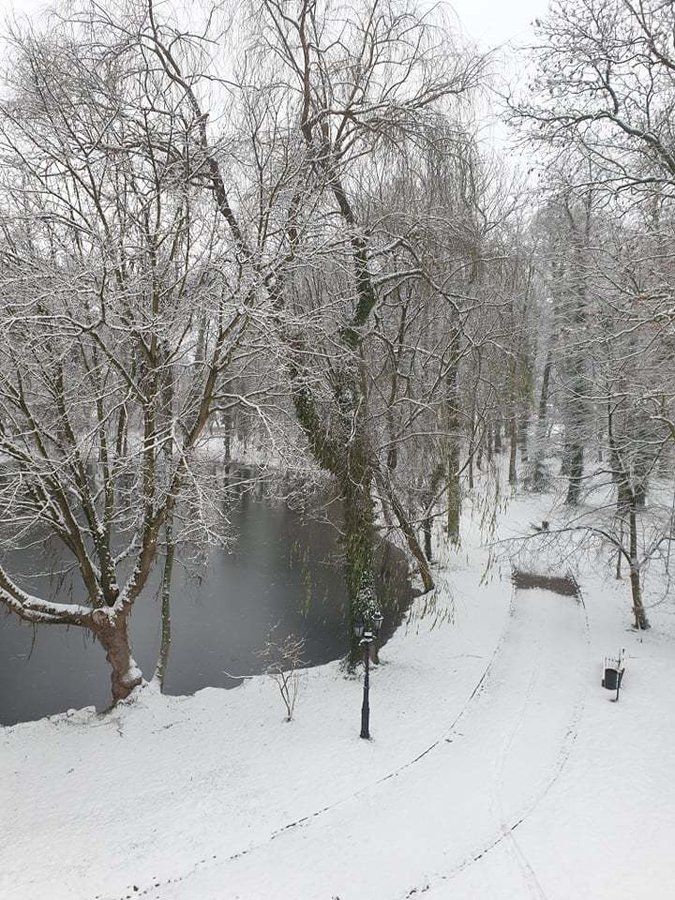 Zdjęcie przedstawiąjce park Urzędu Gminy w Wijewie