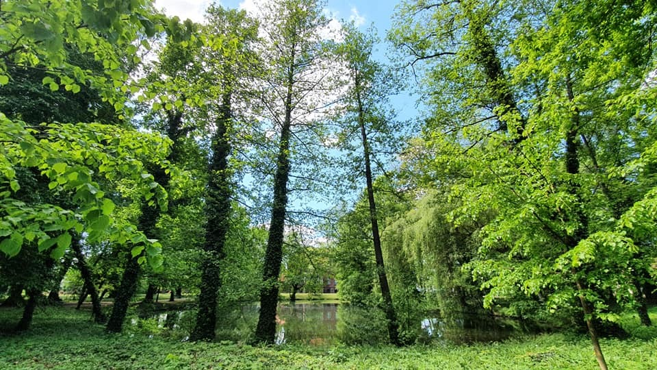 Zdjęcie przedstawiające park