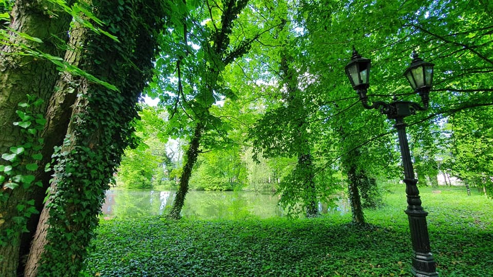 Zdjęcie przedstawiające park