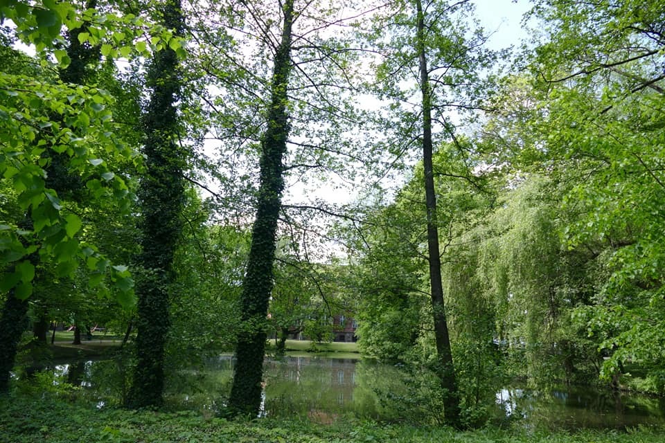 Zdjęcie przedstawiające park