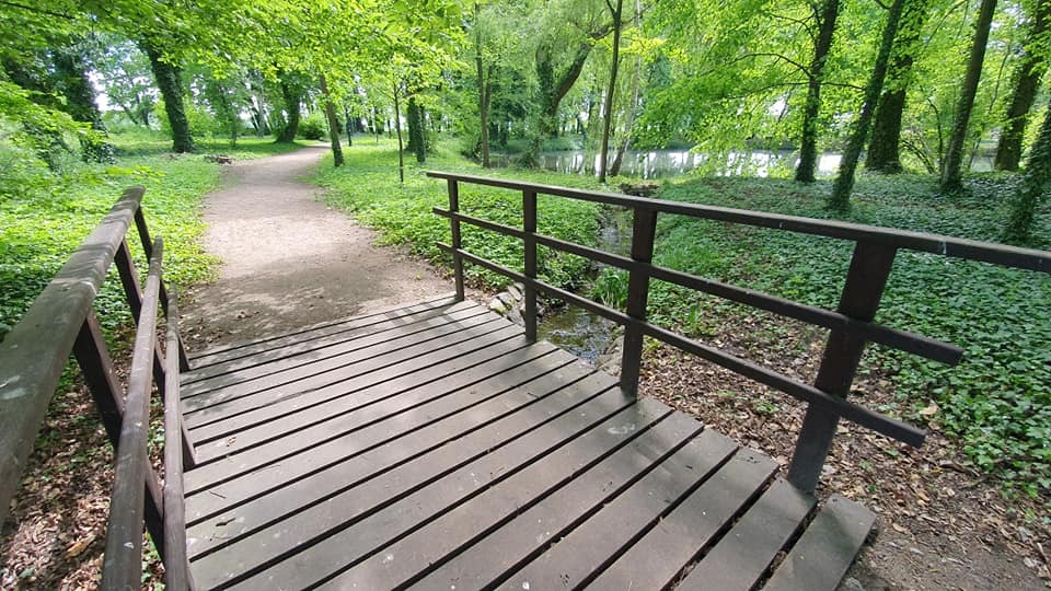 Zdjęcie przedstawiające park