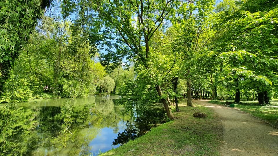 Zdjęcie przedstawiające park