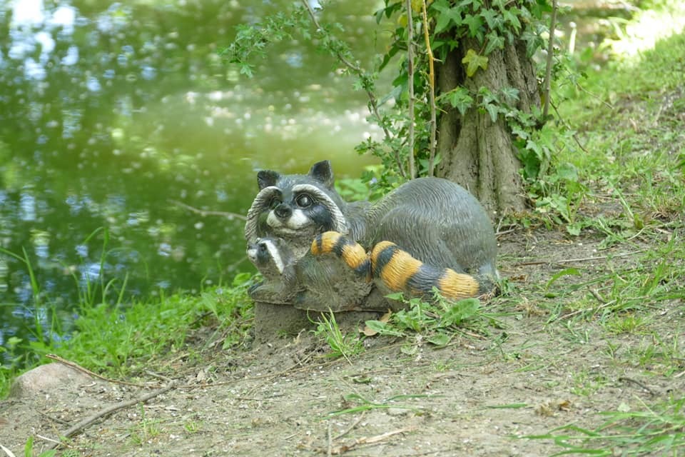 Zdjęcie przedstawiające park