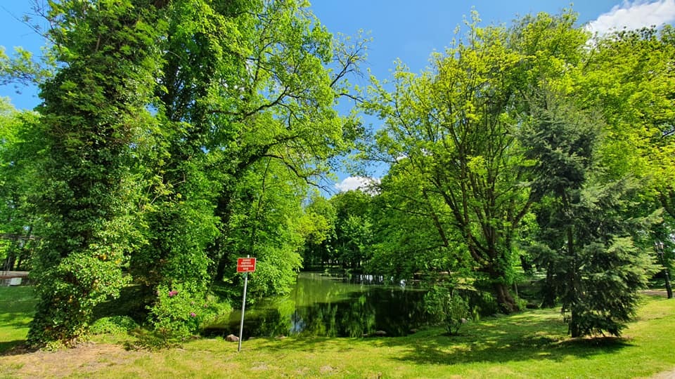 Zdjęcie przedstawiające park