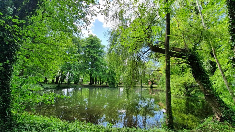 Zdjęcie przedstawiające park