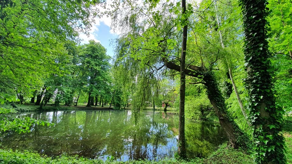 Zdjęcie przedstawiające park