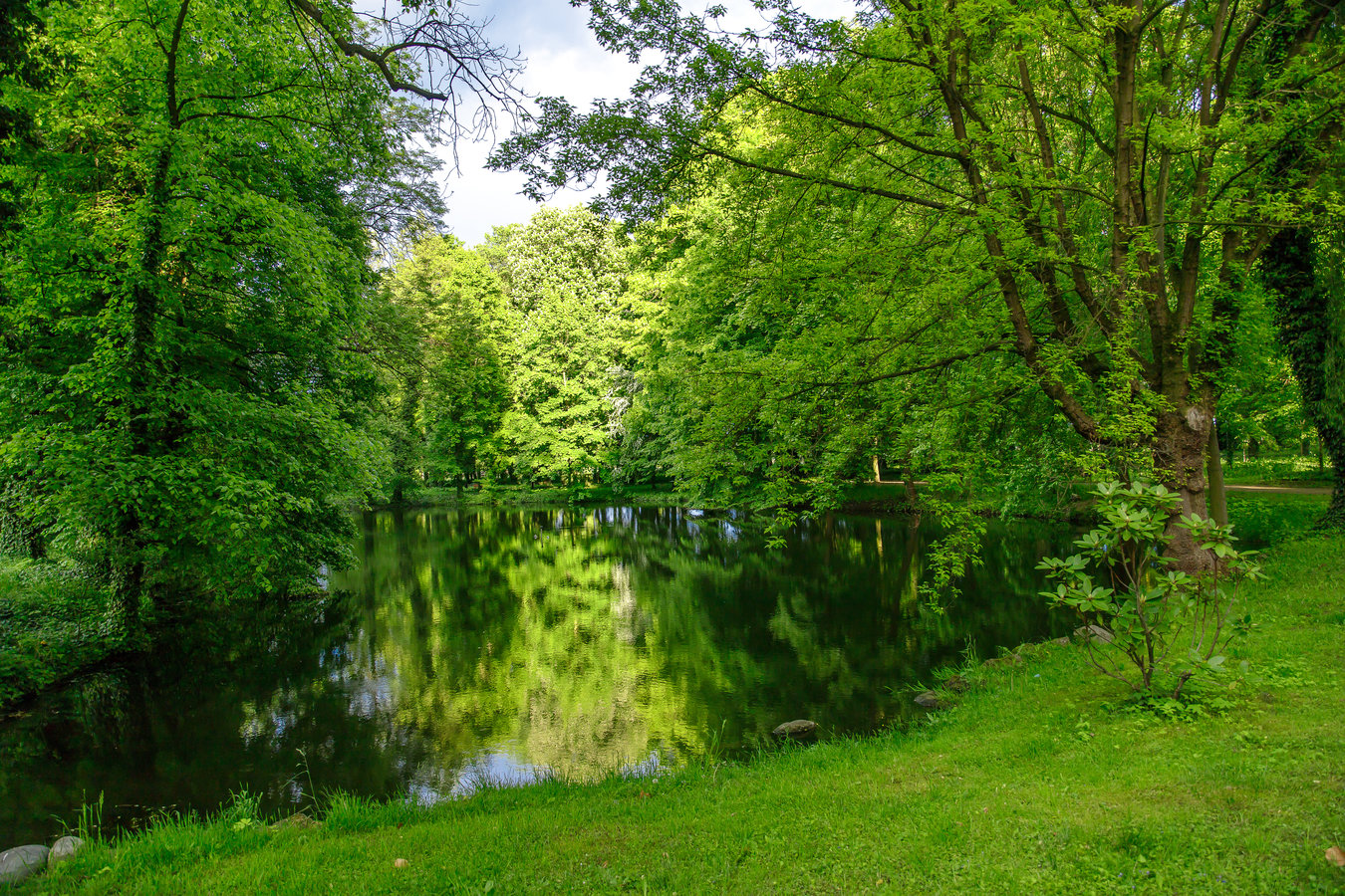 Zdjęcie przedstawiające park w Wijewie