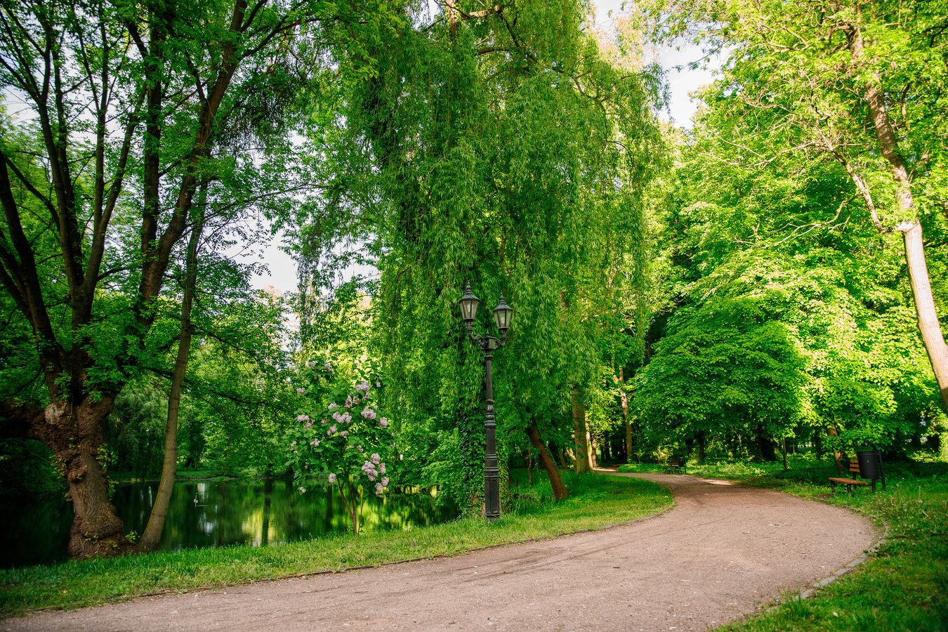 Zdjęcie przedstawiające park w Wijewie