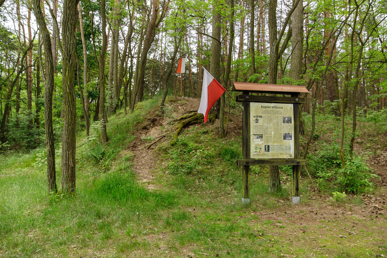 Zdjęcie przedstawiające kopiec Willsona