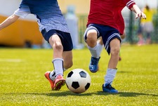 Urząd Gminy w Wijewie poszukuje kandydata do prowadzenia zajęć sportowych oraz zajęć sportowo-rekreacyjnych dla dzieci