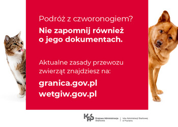 INFORMACJA CO MOŻNA A CZEGO NIE MOŻNA MIEĆ W WAKACYJNYM BAGAŻU