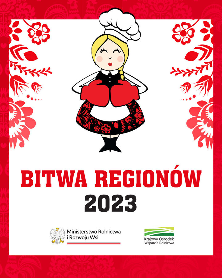 plakat bita regionów