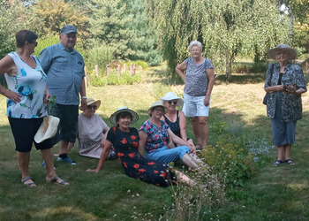 zdjęcie przedstawia Seniorów na trawie 