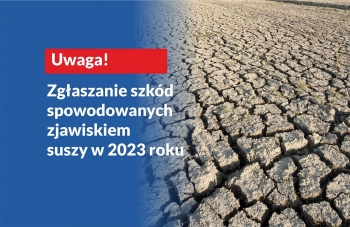 zdjęcie przedstawia suszę