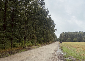 zdjęcie przedstawia remont drogi 