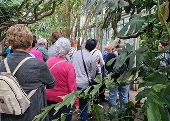 Zdjęcie przedstawia uczestników Klubu Seniora