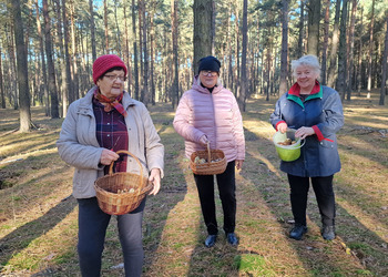 zdjęcie przedstawia Seniorów na grzybach