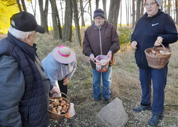 zdjęcie przedstawia seniorów na grzybach
