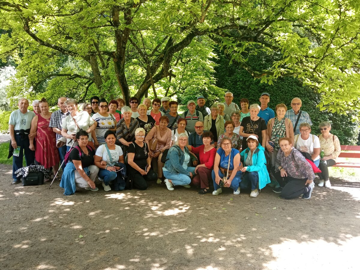 zdjęcie przedstawia grupę seniorów 