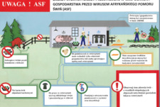 Uwaga zagrożenie ASF!