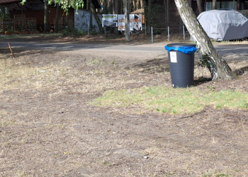 zdjęcie przedstawia kosz na śmieci nad jeziorem