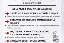 Informacja dotycząca obowiązku właściwego zabezpieczenia psów przebywających na zewnątrz.